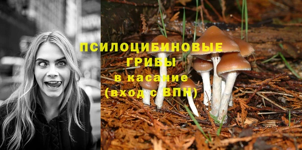 spice Пестово