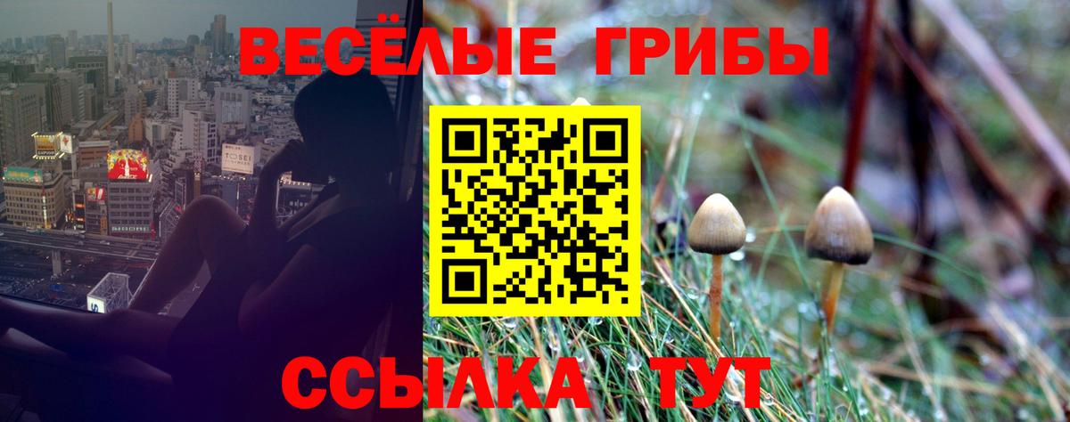Псилоцибиновые грибы ЛСД  Вход с VPN  Галлюциногенные грибы Cubensis  Благовещенск 